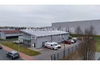 Gewerbeimmobilie mieten in 31515 Wunstorf, Moderne Gewerbeliegenschaft in Wunstorf-Luthe