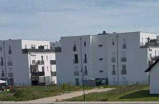Grundstück zu kaufen in 16356 Werneuchen, Zinsen ab 1 %! Vollerschlossenes Traumgrundstück in Berlin C-Zone / MFH / EFH oder DHH