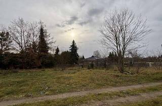 Grundstück zu kaufen in 14943 Luckenwalde, Luckenwalde: Grundstück für Ihr Einfamilienhaus in schöner Lage