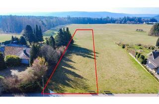Grundstück zu kaufen in 75335 Dobel, Über 5.000m² in sonniger Waldrandlage - Großzügiges Baugrundstück in Dobels bester Lage