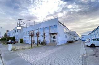 Gewerbeimmobilie mieten in 55129 Mainz, Als Kapitalanlage und Eigennutzer. Hochwertige Labor- Produktionsfläche mit Lager und Büro.