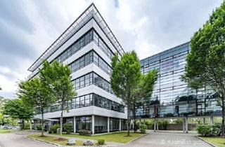 Büro zu mieten in Hirschgarten, 80639 München, Attraktives Büro am Hirschgarten