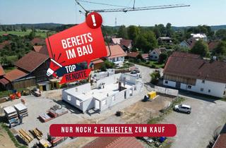Wohnung kaufen in 86807 Buchloe, Zuhause ankommen und Förderung sichern: Barrierefrei wohnen im Ortsteil Buchloe-Honsolgen