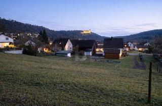 Grundstück zu kaufen in 72181 Starzach, AUSSICHT AUF DIE WEITENBURG