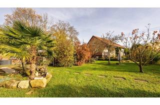 Einfamilienhaus kaufen in 74360 Ilsfeld, Wohnen im Grünen: Einfamilienhaus mit riesigem Gartenparadies
