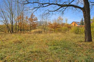 Grundstück zu kaufen in 16766 Kremmen, Ruhig wohnen, stadtnah bauen – attraktives Grundstück in Kremmen