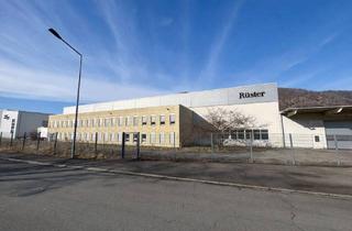 Gewerbeimmobilie mieten in 73326 Deggingen, Hallen / Lager / Produktion Nähe A8, an B 466