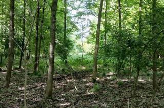 Grundstück zu kaufen in 85114 Buxheim, Idyllisches Forstgrundstück in naturnaher Lage bei Buxheim