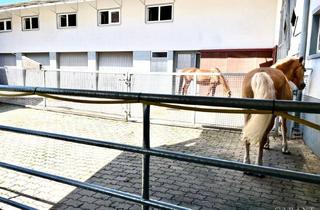 Haus kaufen in 73486 Adelmannsfelden, Wo Pferde zuhause sind und Reiter glücklich werden!