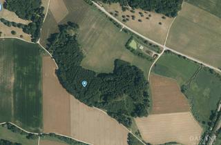 Grundstück zu kaufen in 86653 Weilheim, Waldgrundstück mit Fichtenbestand und Eichenallee