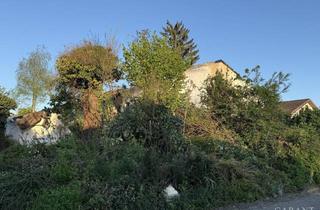 Grundstück zu kaufen in 79798 Jestetten, Baugrundstück mit Abrisshaus sucht kreative Bauherren mit Geschick zur Neugestaltung!