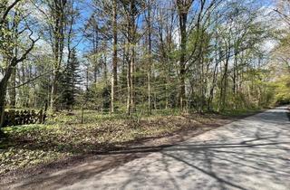 Immobilie kaufen in 23701 Eutin, Großes Grundstück in Sibbersdorf