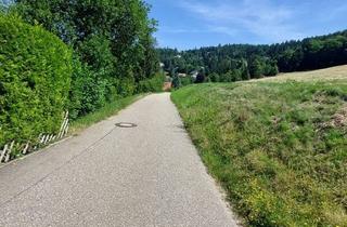 Immobilie kaufen in 77887 Sasbachwalden, Schönes Baugrundstück in Sasbachwalden