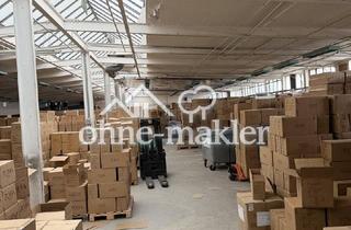 Büro zu mieten in 68519 Viernheim, Preisgünstige Industriehalle in Viernheim – kurzfristig verfügbar & ohne Provision