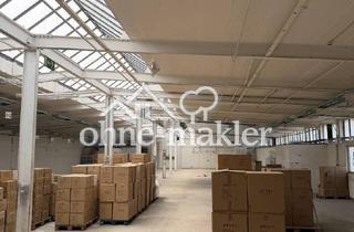 Büro zu mieten in 68519 Viernheim, Preisgünstige Industriehalle in Viernheim – kurzfristig verfügbar & ohne Provision