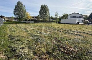 Grundstück zu kaufen in 77749 Hohberg, RUHIGE LAGE, IDEAL FÜR FAMILIEN