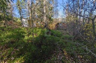 Anlageobjekt in 99885 Luisenthal, RUHE UND NATUR PUR - RÜCKZUGSIDYLLE