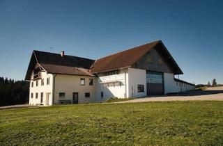 Bauernhaus kaufen in 87487 Wiggensbach, Wiggensbach - Bauernhaus in Alleinlage mit 4.000 m² Grund bei Kempten Gewerbe- bzw. Lagerfläche 953 m²