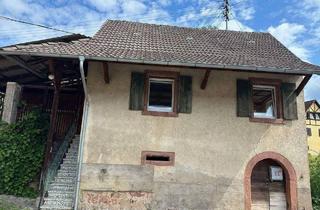 Haus kaufen in 79336 Herbolzheim, Herbolzheim - Zwei Wohnhäuser mit Ökonomiegebäude in ruhiger Lage auf großzügigem Grundstück