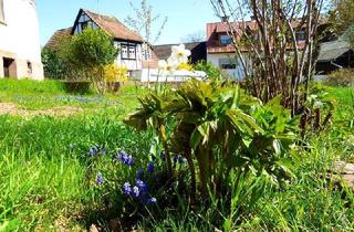 Haus kaufen in 97852 Schollbrunn, Schollbrunn - Anwesen mit Haus, Garten, Hof, Scheune und Wiese