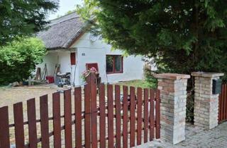 Haus kaufen in 89081 Ulm, Ulm - Reetdach-Ensemble (4 Einheiten) am Velence-See nahe Budapest
