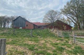 Haus kaufen in 27333 Bücken, Bücken - Charmanter Resthof mit 2 ha Land und großem Entwicklungspotenzial