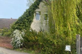 Einfamilienhaus kaufen in 68623 Lampertheim, Lampertheim - Liebhaber Objekt-freistehendes Einfamilienhaus mit großem Garten