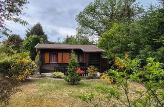 Haus kaufen in 67098 Bad Dürkheim, Bad Dürkheim - Gemütliches Wochenendhaus auf großem Grundstück