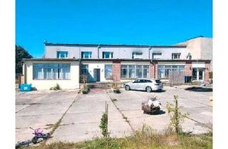 Haus kaufen in 06901 Kemberg, Kemberg - Perfektes Haus für die ganze Familie & eine starke Investition