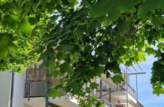 Wohnung kaufen in 71672 Marbach, 2 1/2 Zr. Wohlfühlwohnung mit großem Balkon, traumhaft!