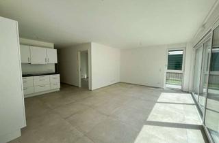 Wohnung mieten in 55252 Mainz-Kastel, Dreizimmerwohnung mit EBK, Stellplatz und Gartennutzung in Mainz-Kastel
