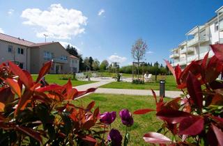 Wohnung mieten in Hildesheimer Straße 40, 31162 Bad Salzdetfurth, "Gemeinsam statt einsam -Villa Cura" - Seniorenwohnanlage