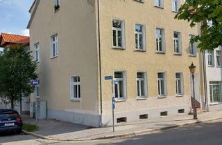Wohnung mieten in Allee 60, 06493 Ballenstedt, schöne großzügige 1-Raum-Wohnung mit Balkon