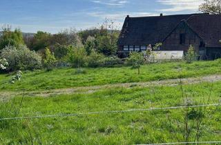 Bauernhaus kaufen in 32602 Vlotho, Bauernhaus/ländliches Anwesen/Resthof mit insgesamt 9 ha Flächen