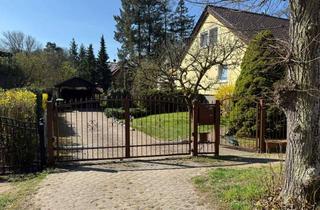 Einfamilienhaus kaufen in 15344 Strausberg, Ohne Makler ! 6-Raum - Einfamilienhaus in Strausberg in grüner Lage zu verkaufen.