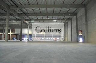Gewerbeimmobilie mieten in 64319 Pfungstadt, Logistikhalle in Pfungstadt ca. 12.000 m² - Q3 2026 - PROVISIONSFREI