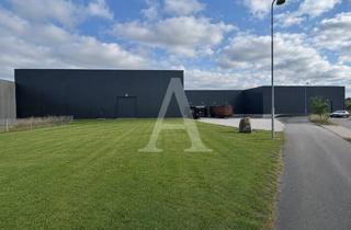 Gewerbeimmobilie mieten in 41179 Rheindahlen, *PROVISIONSFREI* LOGISTIKHALLE IN MÖNCHENGLADBACH | 24/7 | RAMPE & EBENERDIG | ANGERMANN NRW