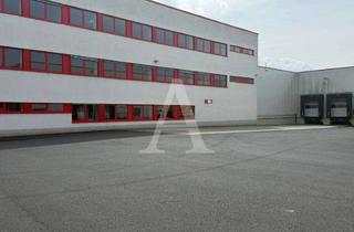Gewerbeimmobilie mieten in 50126 Bergheim, LAGERHALLE IN BERGHEIM | BIS 9,25 M UKB | RAMPE & EBENERDIG | ANGERMANN NRW