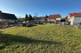 Grundstück zu kaufen in 31061 Alfeld, Schönes Baugrundstück in guter Lage von Alfeld zu verkaufen