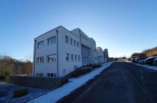 Gewerbeimmobilie kaufen in 66620 Nonnweiler, Bürogebäude