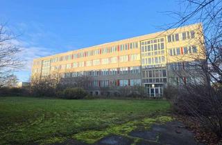 Büro zu mieten in Stoltenhäger Straße 42, 18507 Grimmen, +++Bürogebäude mit Entwicklungspotenzial im Gewerbegebiet Grimmen+++