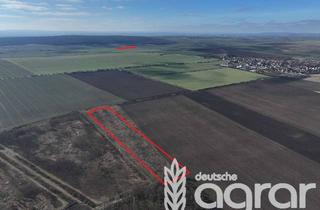 Gewerbeimmobilie kaufen in 39448 Westeregeln, Ackerfläche (ca. 4,6 ha) bei Egeln – Attraktive landwirtschaftliche Nutzfläche