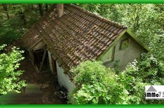 Haus kaufen in 75417 Mühlacker, das Wochenendhaus im Wald