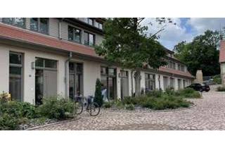 Wohnung mieten in Talstraße 27, 06120 Kröllwitz, Neubau in Bestlage