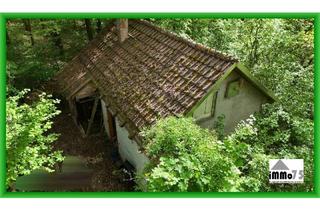 Haus kaufen in 75417 Mühlacker, das Wochenendhaus im Wald