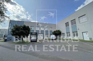 Gewerbeimmobilie mieten in 50259 Pulheim, Vielseitige Hallen- und Produktionsflächen // Anmietung über BNP PARIBAS Real Estate