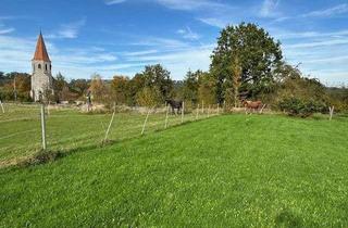 Grundstück zu kaufen in 96152 Burghaslach, Baugrundstück, in traumhafter Natur (Steigerwald) mit bestem Ausblick, 2 Zufahrten, erschlossen