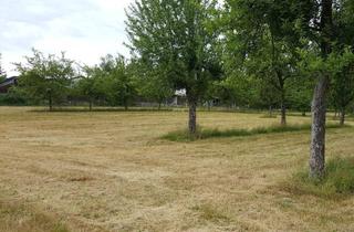 Grundstück zu kaufen in 64678 Lindenfels, Bauplatz im Neubaugebiet Schlierbach - jetzt die letzten freien Grundstücke sichern!