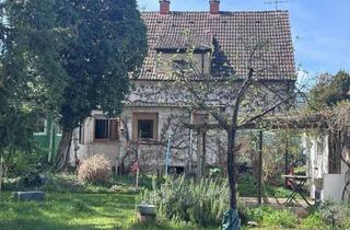 Haus kaufen in 68623 Lampertheim, Lampertheim - Gelegenheit :: Sehr geräumiges Zweifamilienhaus mit großem Garten & ca. 400 m² Baugrundstück