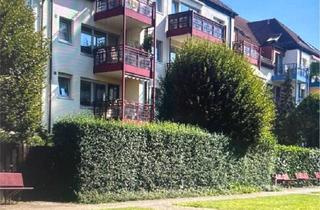 Wohnung kaufen in 04316 Leipzig, Leipzig - SOFORT EINZIEHEN - Terrassenwohnung 3 Zimmer